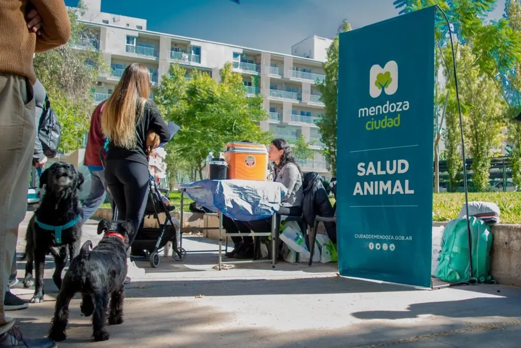 Ciudad de Mendoza: conocé el cronograma de vacunación y desparasitación gratuita