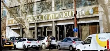 El INV eliminó la obligación de que los vinos sean transparentes: los vinos naturales y sin filtrar quedan habilitados sin excepciones