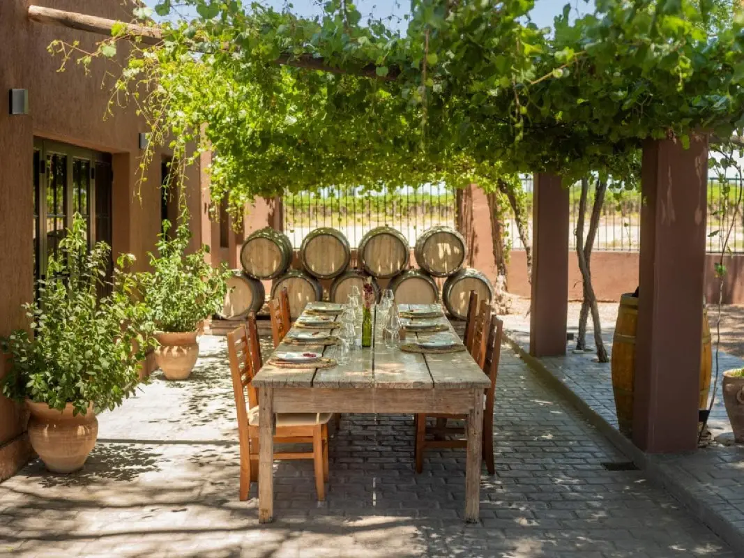Disfrutá un divertido “Día de Campo” en la Bodega Pascual Toso