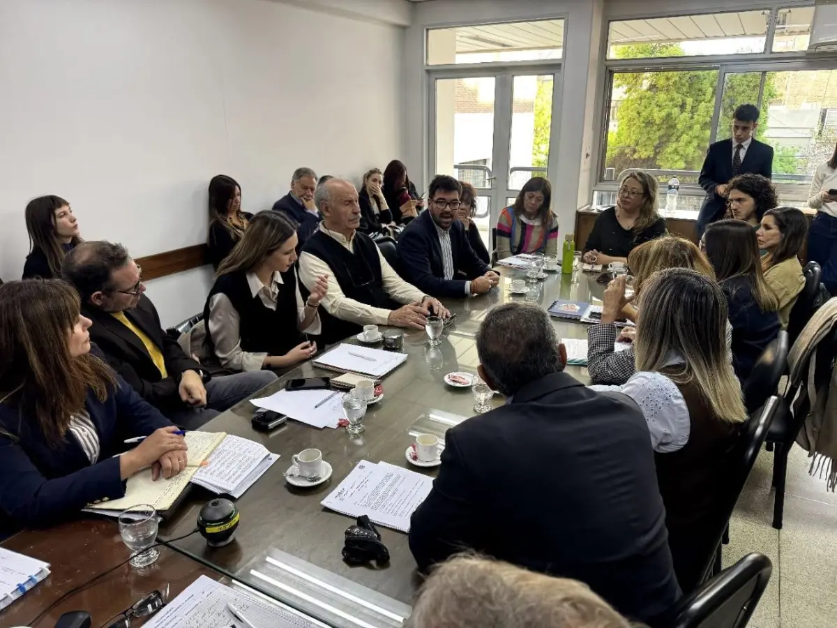 Alerta en salud mental: crisis, suicidios en aumento y reclamos urgentes en la Legislatura mendocina*