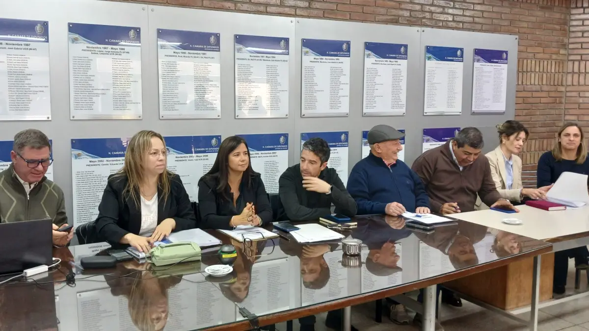 Avanza en la Legislatura el proyecto de ley para unificar los códigos de construcción en toda la provincia