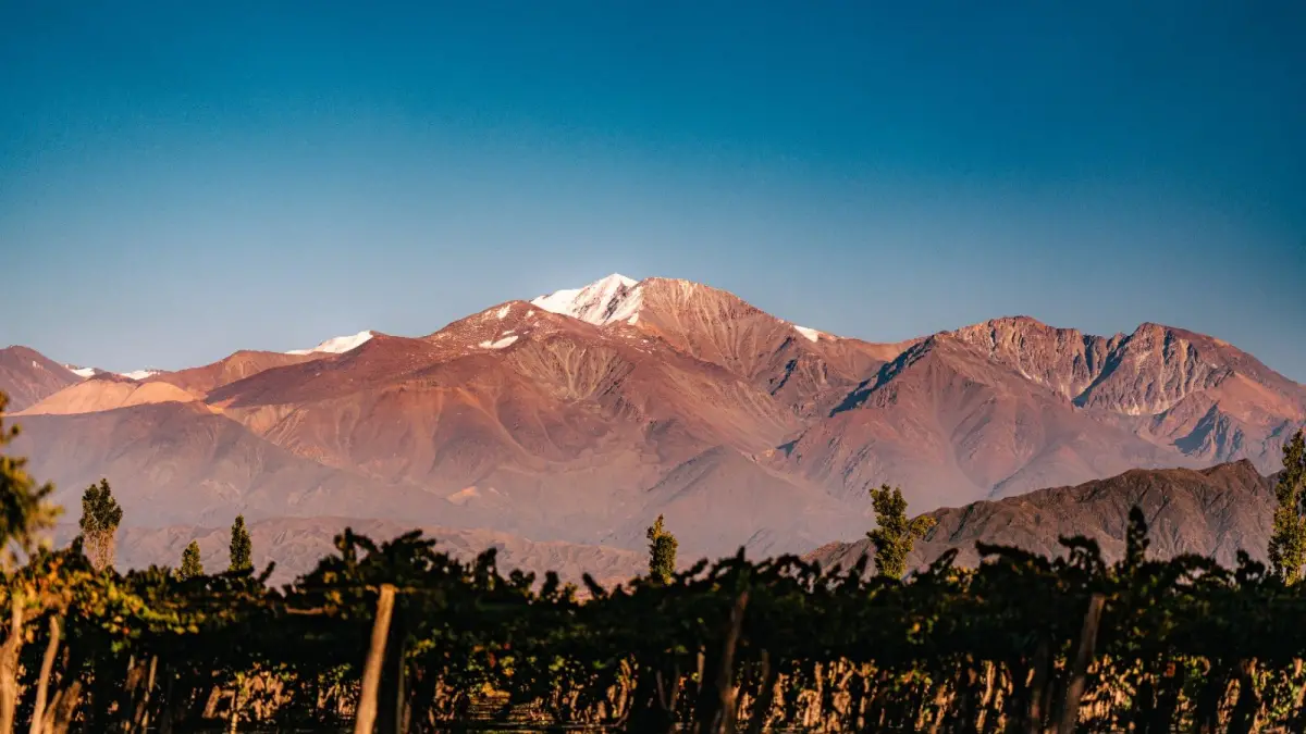 Las bodegas se preparan para  Vinexpo Explorer Mendoza 2026