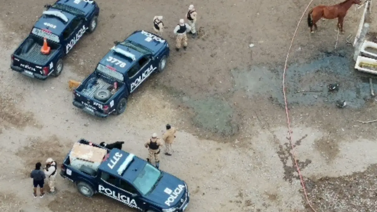 Canes, drones y Policía Rural: un operativo coordinado permitió esclarecer el robo de dos caballos en Maipú