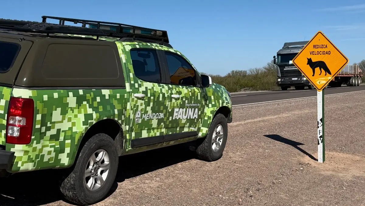 Colocaron cartelería preventiva para reducir atropellamientos de fauna silvestre en Ñacuñán