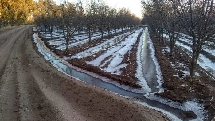 Daños en la producción por heladas: el 13 de octubre se abre el registro de denuncias