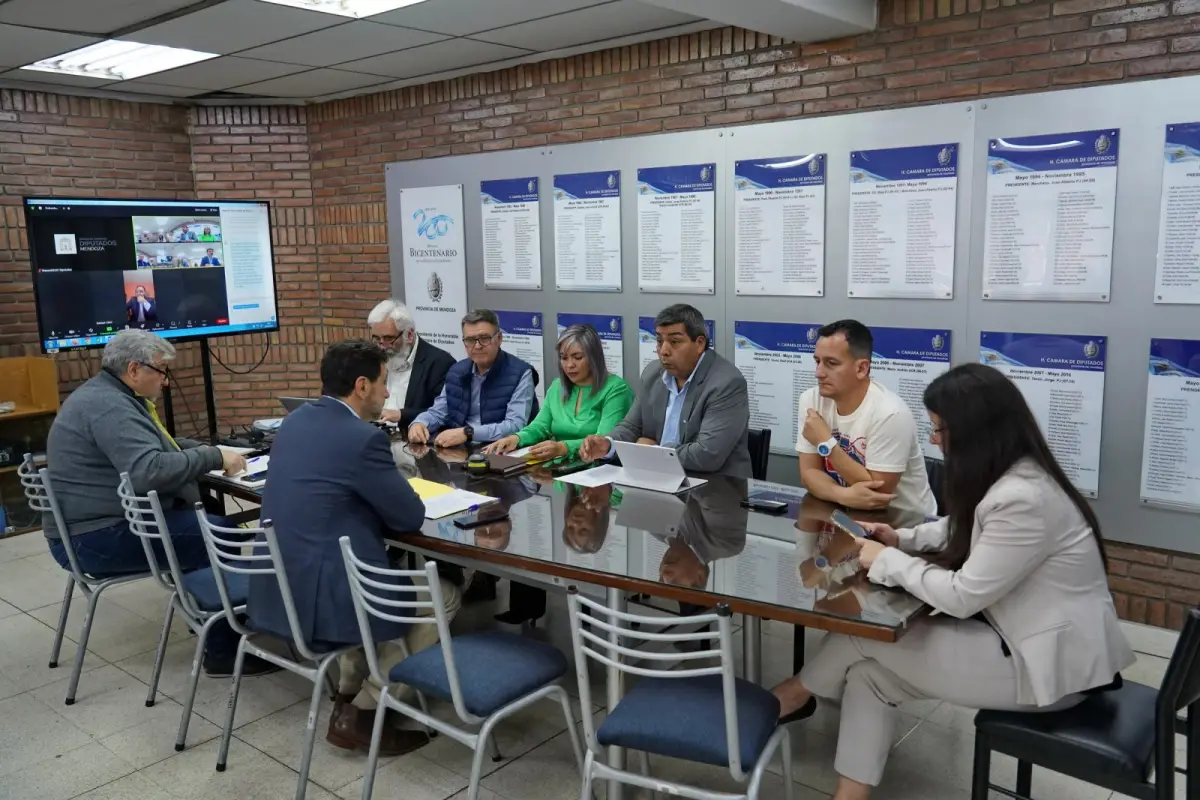 Derechos y Garantías citará a Janina Ortiz para el próximo lunes