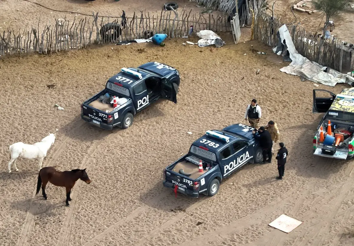Dos detenidos por caza ilegal en Lavalle: secuestran armas, trampas y restos de fauna silvestre