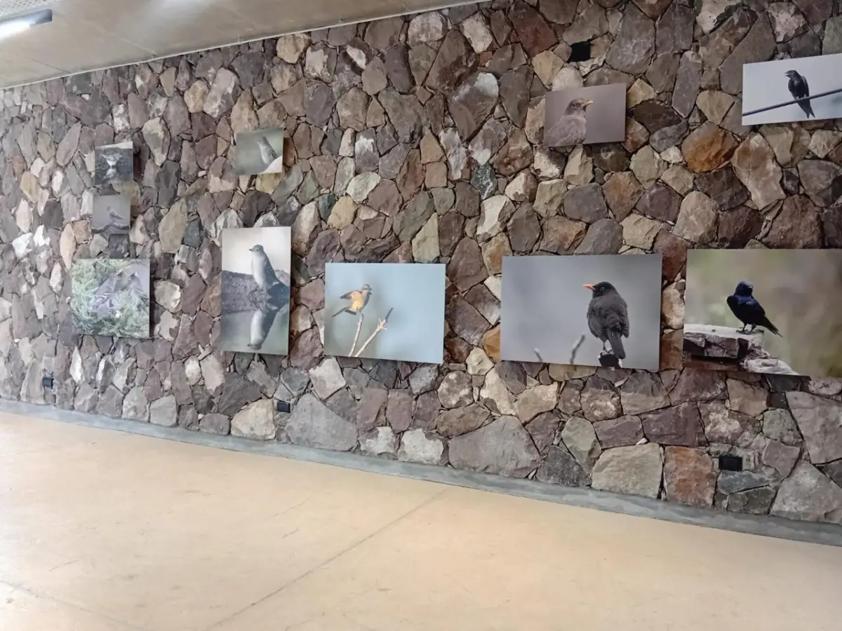 El Ecoparque celebra el Mes de las Aves con una muestra fotográfica y un curso gratuito