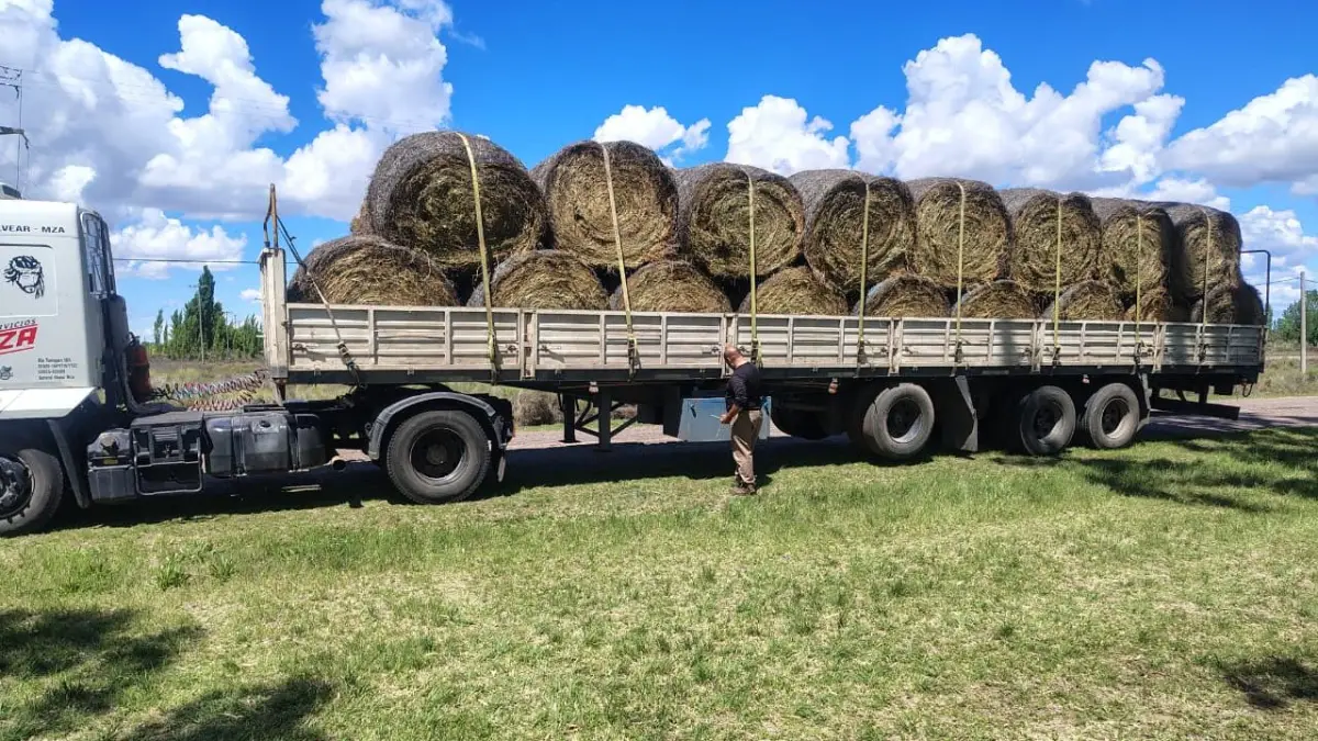 El Gobierno de Mendoza asiste a productores ganaderos afectados por las contingencias climáticas en el Valle de Uco y el sur provincial