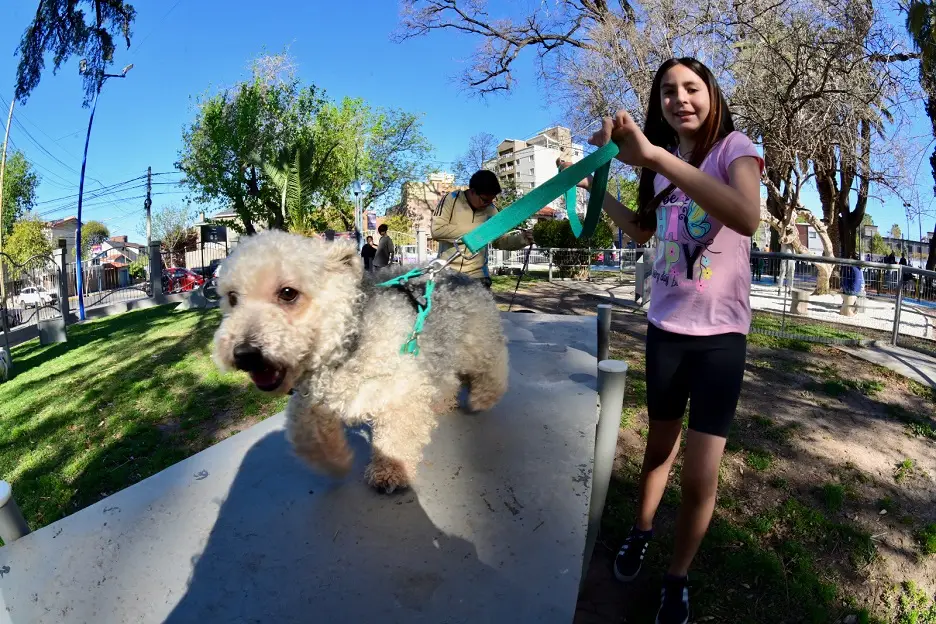 Godoy Cruz apuesta a las mascotas y tendrá su cuarta plaza canina