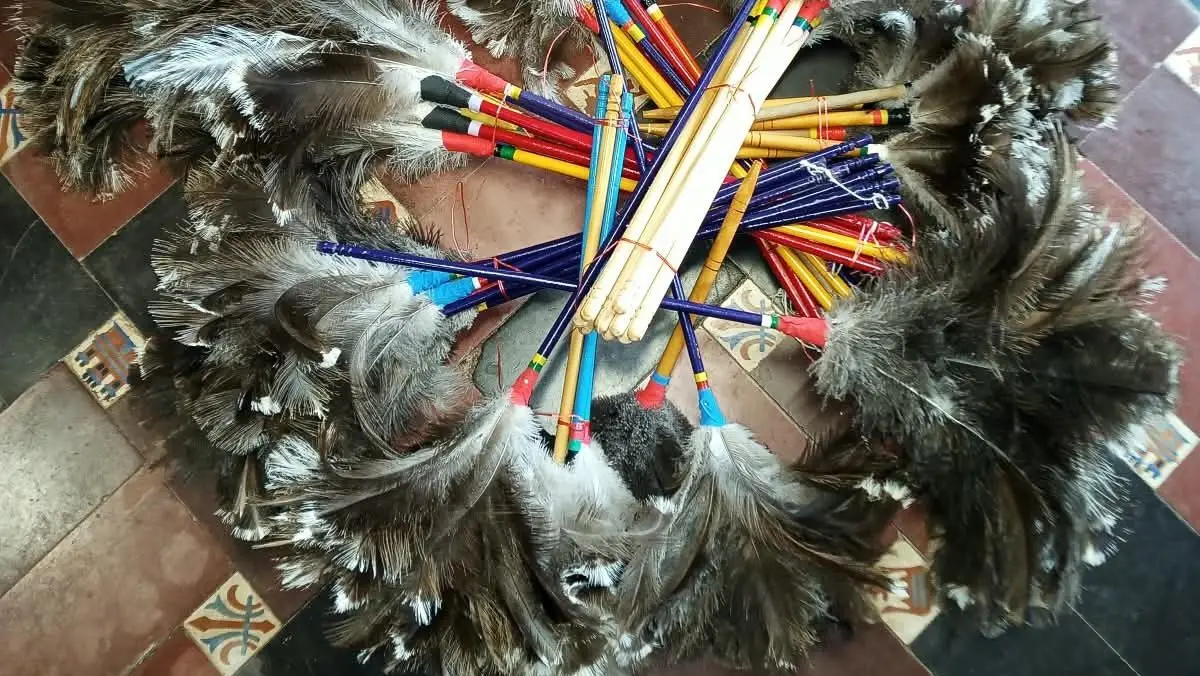 Golpe al tráfico de fauna silvestre: secuestran más de 50 plumeros con plumas de choique y ñandú en Maipú