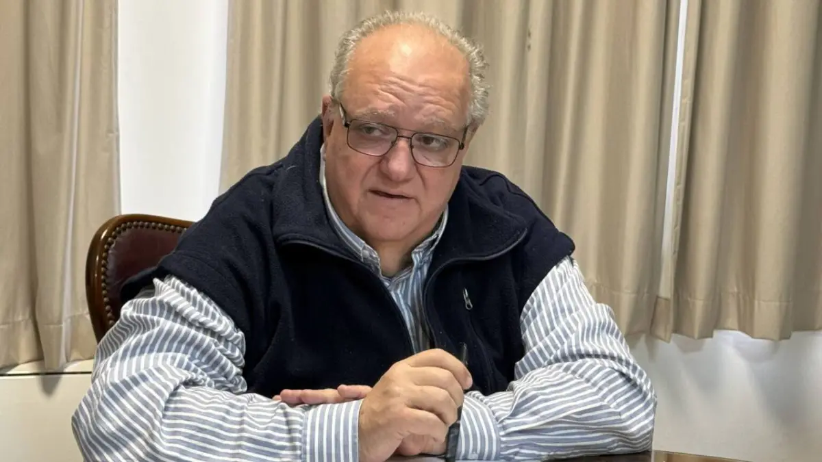 Informe SVE 2026: La cosecha asistida se consolida como la opción más eficiente para los viñateros