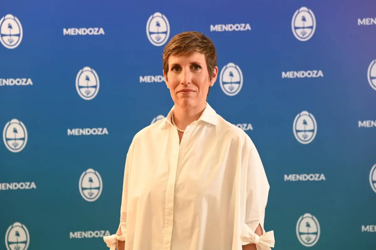 Jimena Latorre se autofinanció un máster personal y el diputado Ilardo lo expuso en una conferencia de prensa