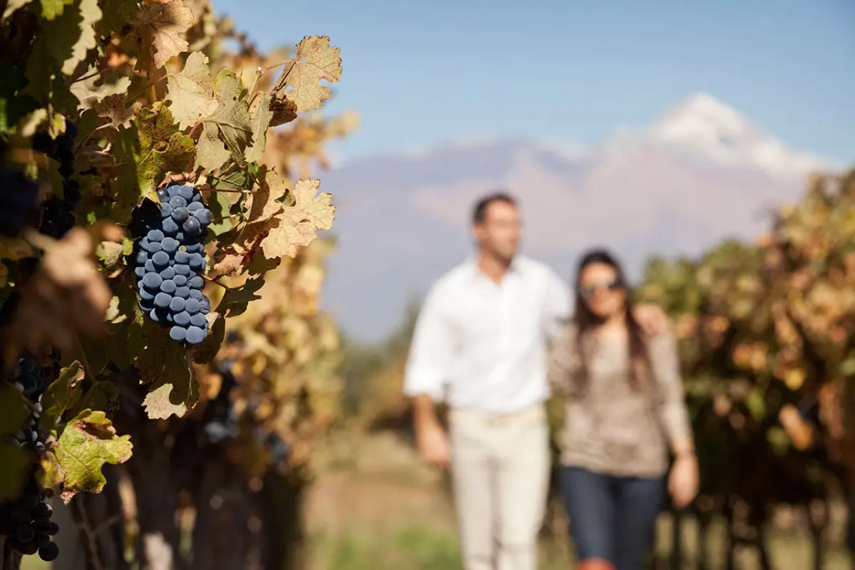 Mendoza lanza “Prode Mansa Pasión”, una experiencia que une el Mundial y los atractivos de la provincia