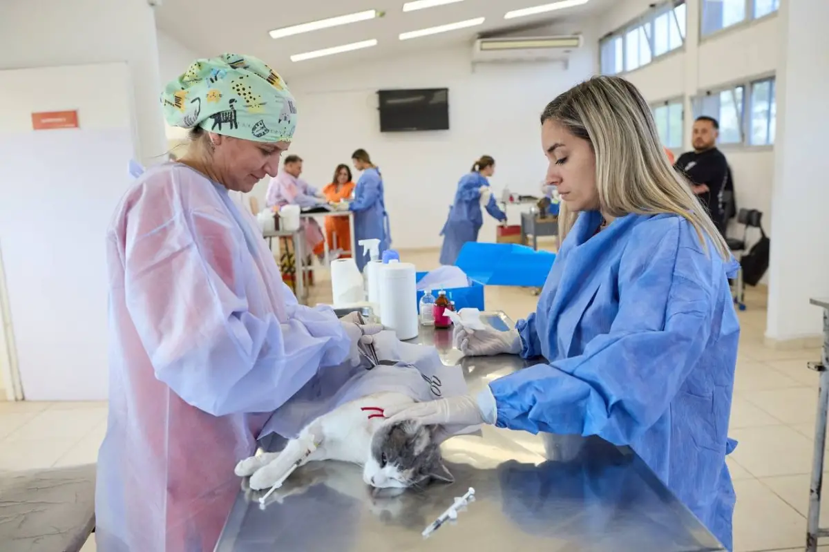 El Móvil Veterinario SIMBA recorrerá El Algarrobal durante agosto