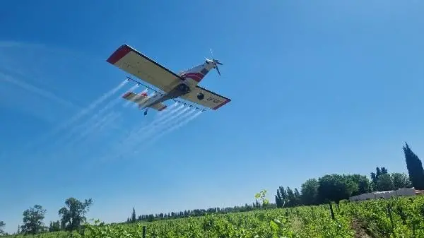 Operativo Lobesia: el Iscamen iniciará el Servicio de tratamientos aéreos en 90.000 hectáreas de vid de los oasis Norte y Este