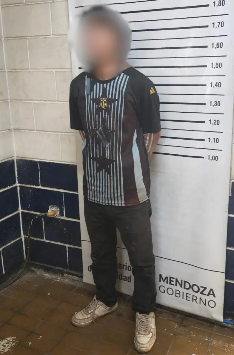 La Policía reforzó las tareas preventivas en el Metrotranvía y aprehendió a un hombre en Las Heras