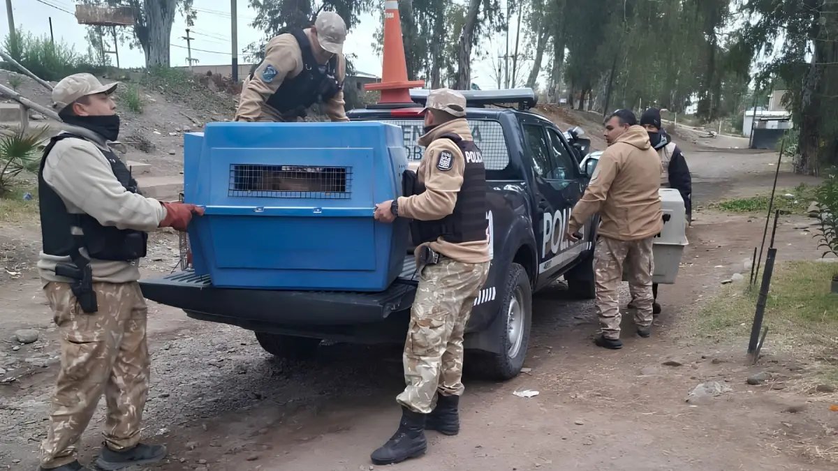 La Policía rescató cinco perros durante un allanamiento por presunto maltrato animal en Perdriel