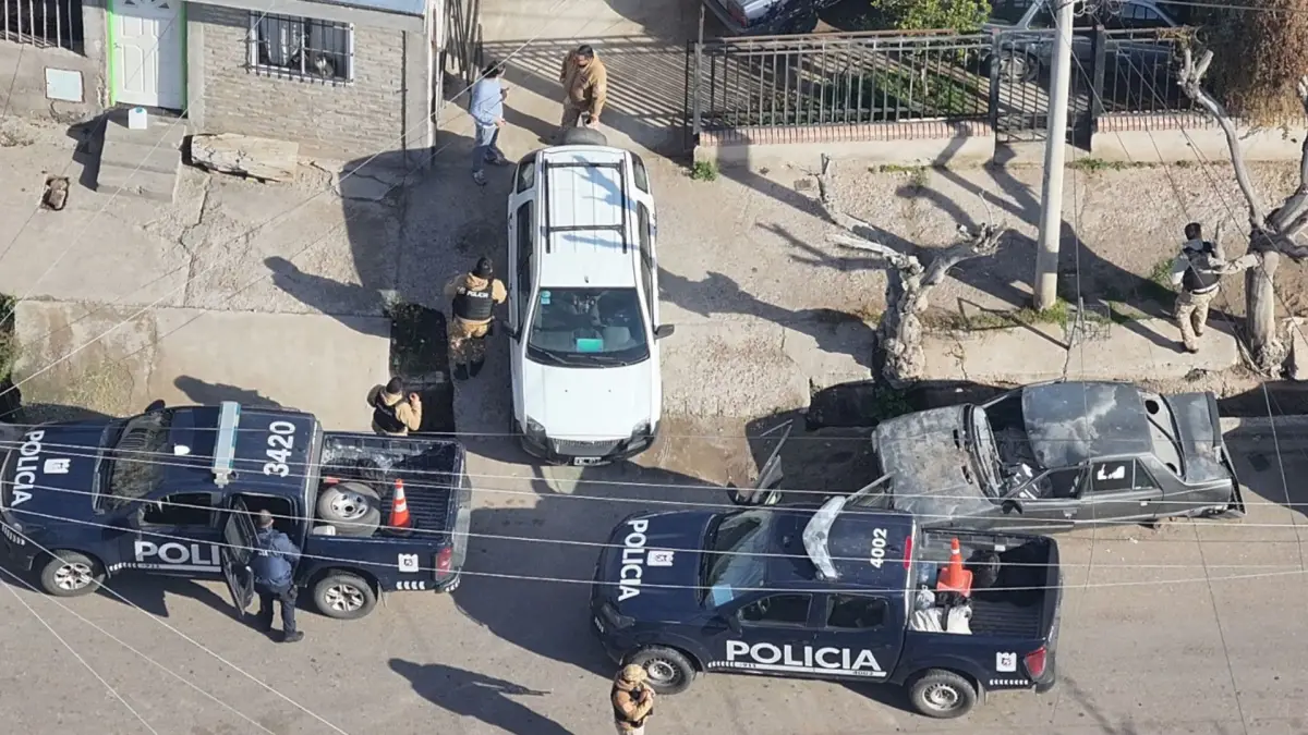La Policía Rural rescató 20 aves silvestres protegidas y secuestró jaulas y tramperos en un operativo en Las Heras