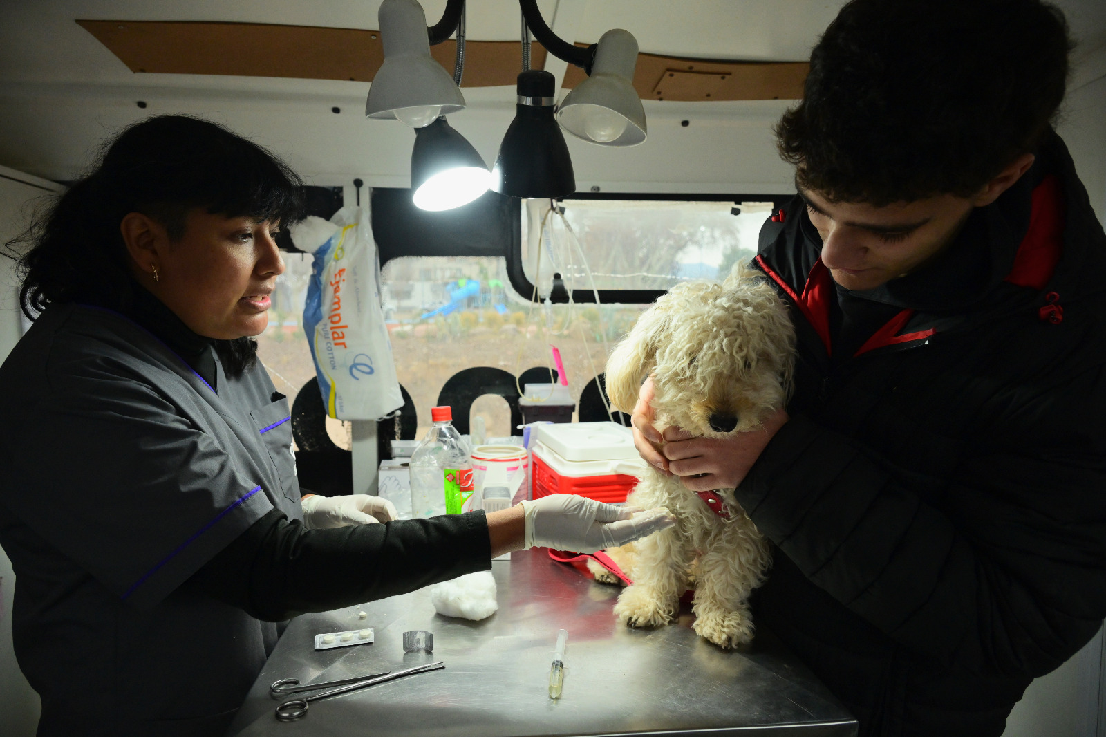 Amor Animal: más de 150 mascotas recibieron atención gratuita en la nueva plaza canina de Godoy Cruz
