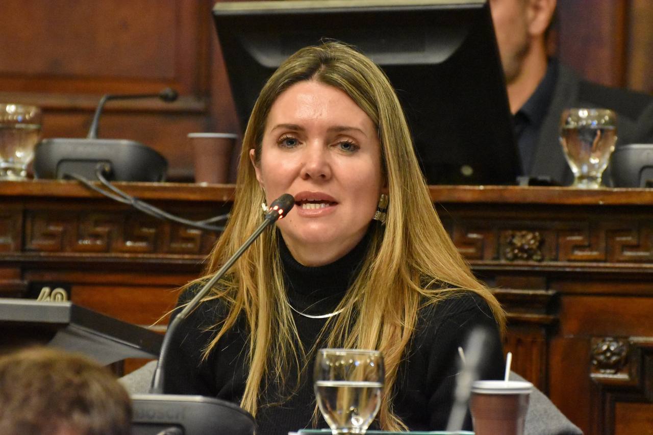 Legisladores petristas impulsan una ley para aliviar los costos de la RTO sin de